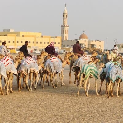90 Minutes Guided Cultural Camel Riding in Dubai 4
