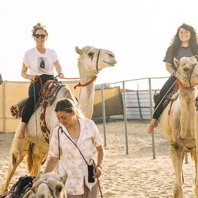 90 Minutes Guided Cultural Camel Riding in Dubai