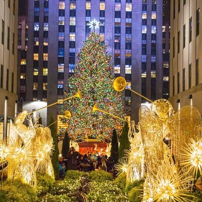 Private Christmas Lights Horse Carriage Tour In New York City