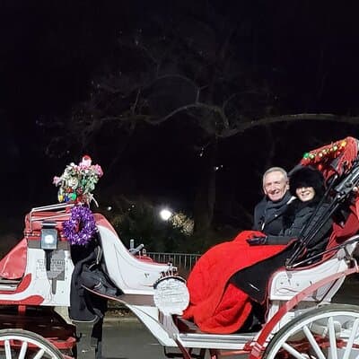 Private Christmas Lights Horse Carriage Tour In New York City 2