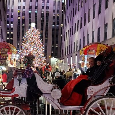 Private Christmas Lights Horse Carriage Tour In New York City 4
