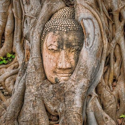 Ayutthaya Sunset Join Tour, Boat Ride, Famous Spot & Local Market