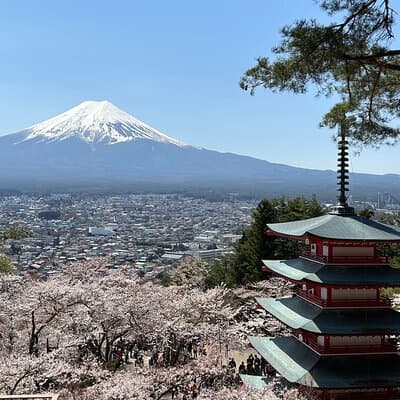 Full Day Mt.Fuji&Hakone Tour, From-To Tokyo, Yokohama, 2-12guests 2