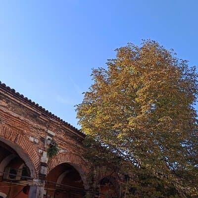 Photograph the Hidden Corners of the Grand Bazaar in Istanbul 5