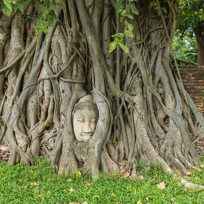 Damnoen Saduak Floating Market & Ayutthaya Tour from Bangkok 4