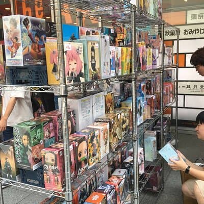 Crazy about Anime! Private Full Day Tokyo Manga Anime Tour by Chartered Vehicle 3