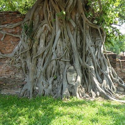 Ayutthaya Famous Temple & Scenic Boat Tour From Train Station 2
