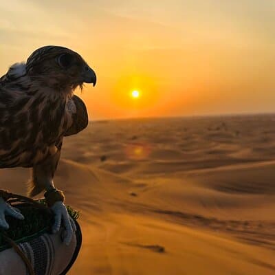Private Desert Safari with ATV Quad Bike 5