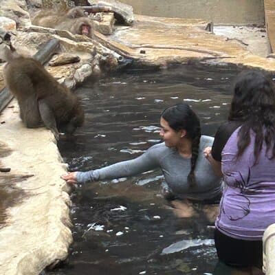 Full Day Snow Monkey Park Tour, From/To Tokyo, 2-12 guests