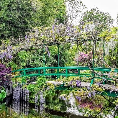 Giverny Half-Day Guided Tour from Paris 2