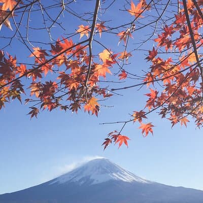 Full Day Private Tour to Mt Fuji by Luxury Vehicle 2