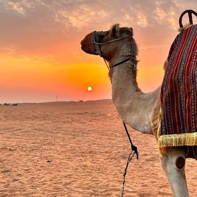 Morning Desert Safari in Dubai 3