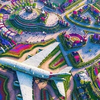 Dubai Miracle Garden and Butterfly Garden with Optional Transport 3