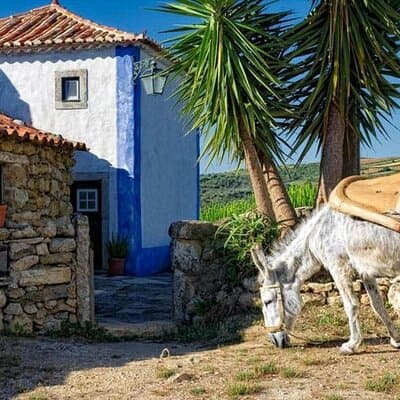 Visit to Queluz Palace and Mafra Convent - Private Tour 4