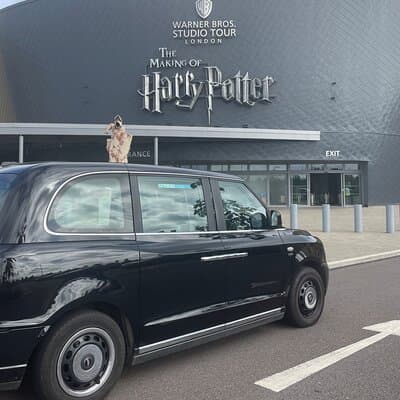 Private Half Day Tour on a London Cab 2