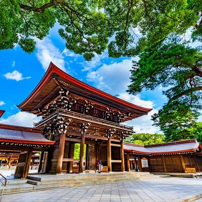 Shinto Shrine Tour: Explore Japanese Culture in Tokyo 2