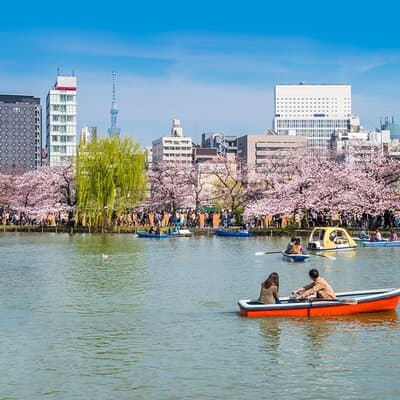 Tokyo Full Day Private Explorer Walking Tour 2