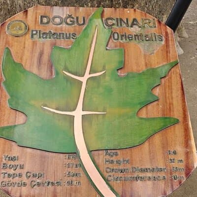 Full Day Guided Tour to Bursa and Uludag 4