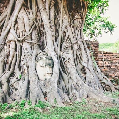 Heritage Tour in Ayutthaya by Cruise 2