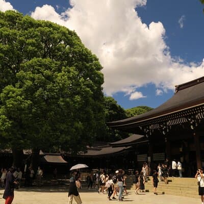 Tokyo in 6 Hours: Private Subway Tour with Licensed English Guide 5