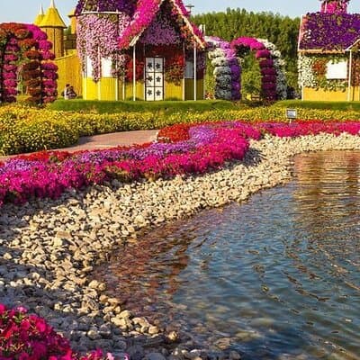 Dubai Miracle Garden and Butterfly Garden with Optional Transport