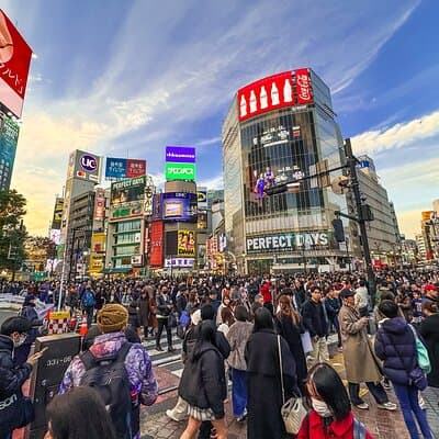 Tokyo in 6 Hours: Private Subway Tour with Licensed English Guide 2