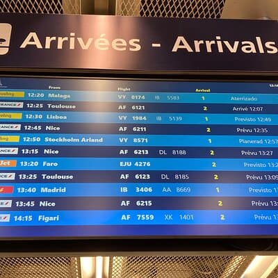 Private Transfer from Roissy CDG Airport to Disneyland Paris 5