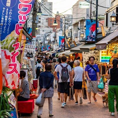 Tokyo: Yanaka & Nezu Old Town Heritage Walk 3