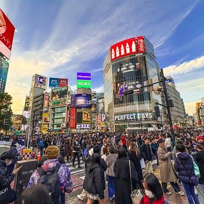 Private Full-day Tokyo Walking Subway Tour by Japan Gray Line