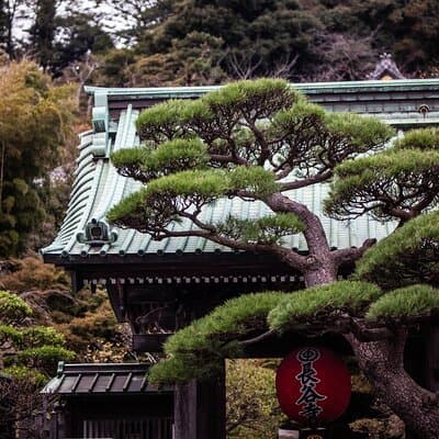 Kamakura Full-Day Private Tour from Tokyo (Customizable) 4