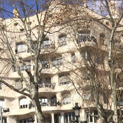 Barcelona 2 Hours Private Tour 4