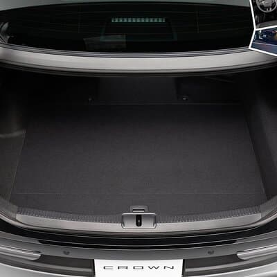 Private Transfer from Narita Airport NRT to Tokyo City by Sedan 2