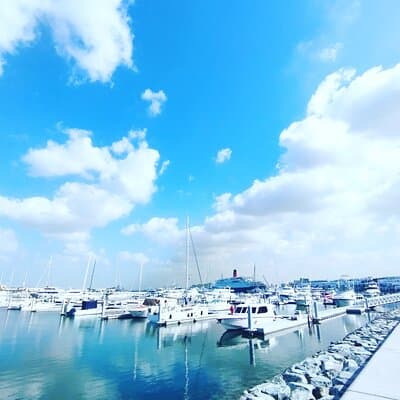 2-hours Sailing Yacht Tour in Dubai 4