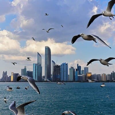 Abu Dhabi Private Full Day City Tour From Dubai 4