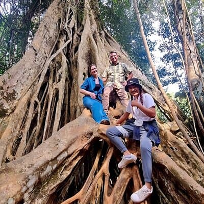 Bangkok: Khao Yai Nature Trails & Heaw Suwat Waterfall 4