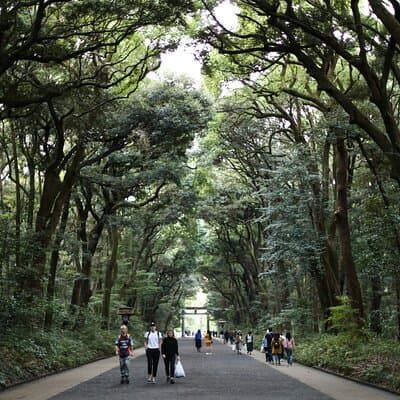 Tokyo Tailored 4 Hours Private Guided Tour 2