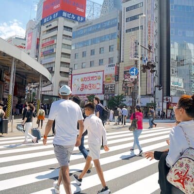 Tokyo Tailored 4 Hours Private Guided Tour 5