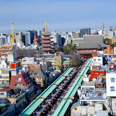 Tokyo Tailored 4 Hours Private Guided Tour