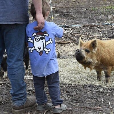 1.5 Hour Immersive Farm Experience in Adirondacks 2