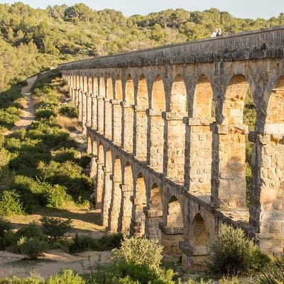 Tarragona Culinary Experience: Olive Oil & Iberian Ham Delight 4
