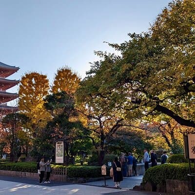 8-Hour Private Tour of Traditional Tokyo in Spanish 2