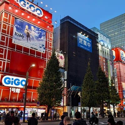 8-Hour Private Tour of Traditional Tokyo in Spanish 3