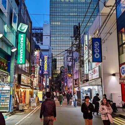 8-Hour Private Tour of Traditional Tokyo in Spanish 5