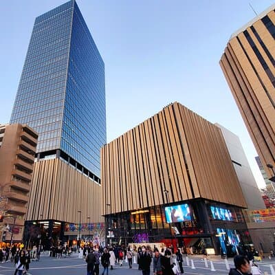 Tokyo Full-Day Private Tour (Customizable) 5