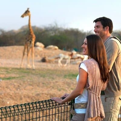 Private Garden City Tour with Zoo Ticket at Al Ain 5