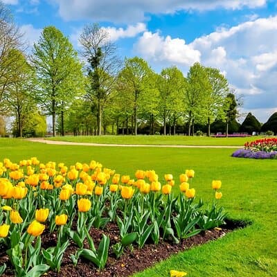 Stunning Hampton Court Palace Private Day Trip from London 2