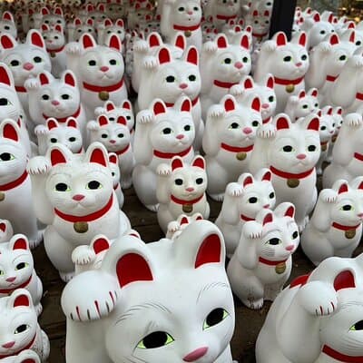Tokyo: Gotokuji Culture Walk & Lucky Cat Temple Experience
