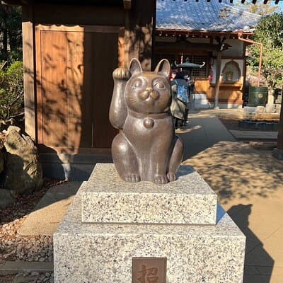 Tokyo: Gotokuji Culture Walk & Lucky Cat Temple Experience 4