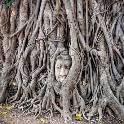 Full Day Shared Ayutthaya and Bang Pa-In Palace Tour 4