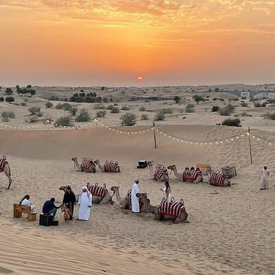 Desert Safari Dubai Experience with Dinner 4
